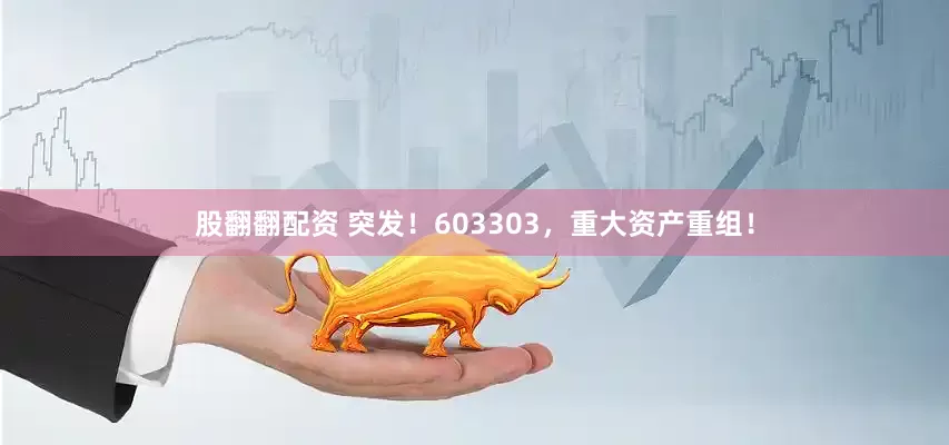 股翻翻配资 突发！603303，重大资产重组！