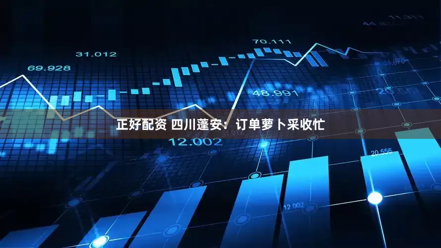 正好配资 四川蓬安：订单萝卜采收忙