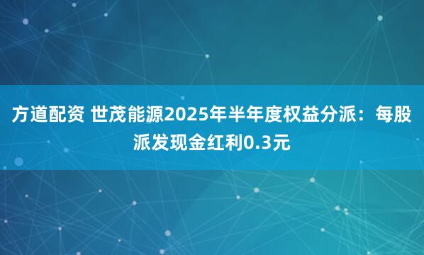 方道配资 世茂能源2025年半年度权益分派：每股派发现金红利0.3元