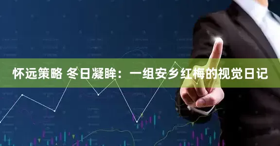 怀远策略 冬日凝眸：一组安乡红梅的视觉日记